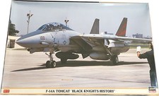 Hasegawa F-14A Tomcat Black