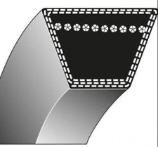 Cinghia trapezoidale