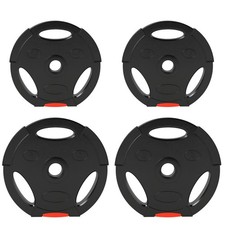 SPORTNOW Kit Pesi con 2 Dischi