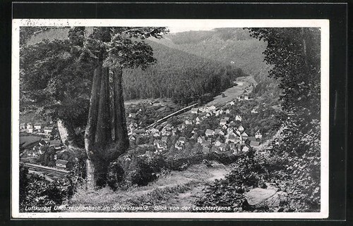 Unterreichbach foresta nera - foresta,