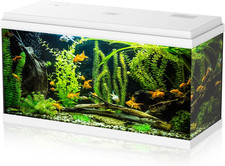 Acquario in Vetro per Pesci Tropicali Completo Di Accessori Filtro Luce Simply, 