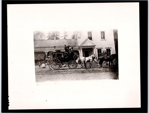 Carrozza per cavalli san - carrozza,