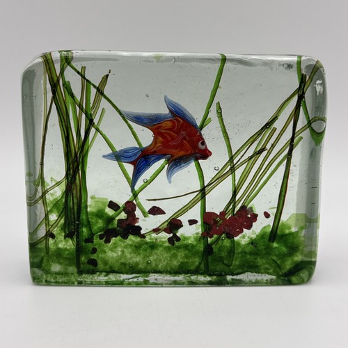 Acquario pesci vintage - acquario,