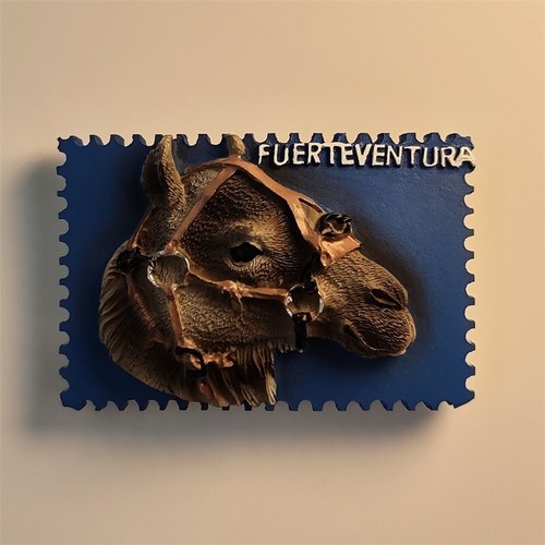 Calamita frigo resina - , 3d
