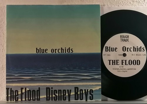 Blue orchids the flood - blue, :
