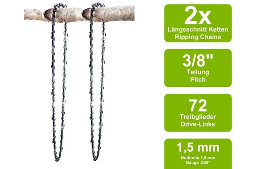 Sezione longitudinale - 2,