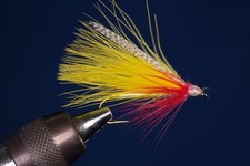 Fliegentom Streamer