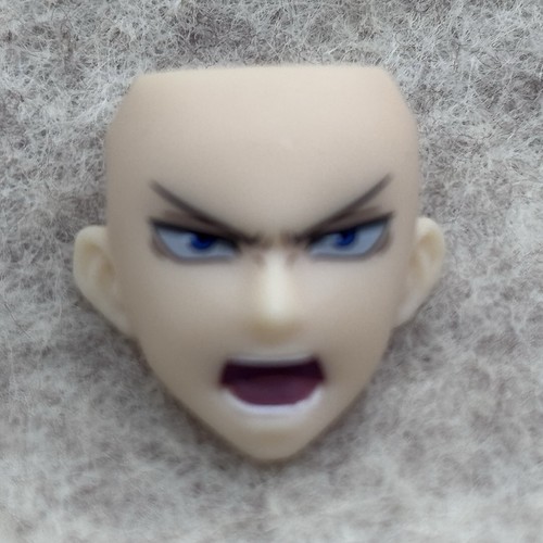 Figuarts megumi fushiguro - sh,