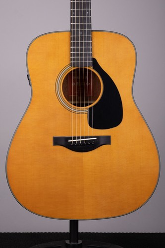 Chitarra elettrica acustica