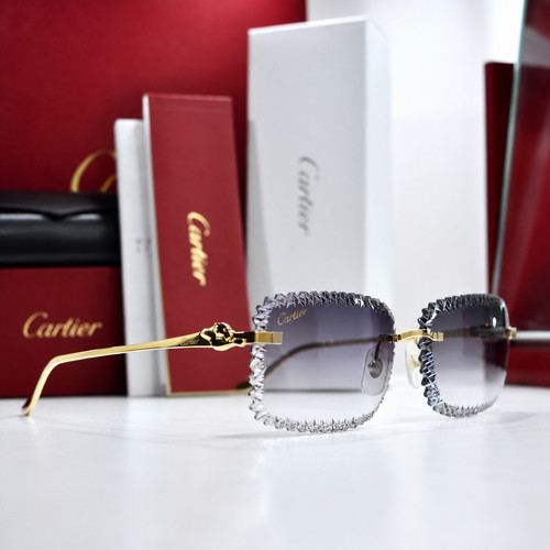 Cartier rimless cto505s - rimless,