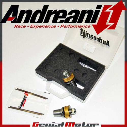 Andreani pistoni pompanti - andreani,