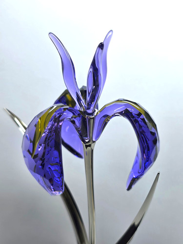 Swarovski crystal paradise - swarovski,