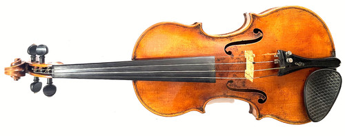 Solid back maple - solid,