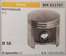11060302003 PISTONE COMPLETO