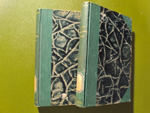 Libro victor hugo - libro, nostra