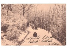 1904 antica cartolina natalizia Primi '900 bambini slittino paesaggio innevato