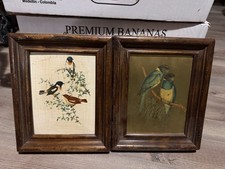 Coppia di quadri vintage