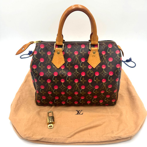 Louis vuitton speedy borsa - speedy, 25
