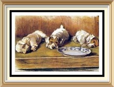 Stampa artistica CECIL ALDIN