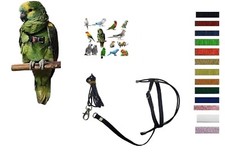 PETTORINA classica COLLO 3MM