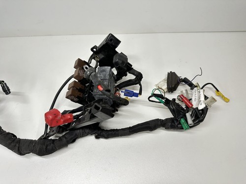 Fascio elettrico ktm 125 duke - fascio,