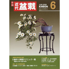 Japanese Bonsai Magazine