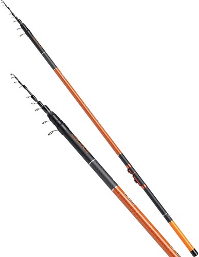 Canna mitchell suprema - canna,