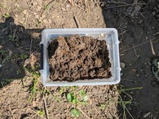 OFFERTA 1KG Lombrichi Rossi Californiani (Eisenia Fetida / Dendrobaena Veneta)