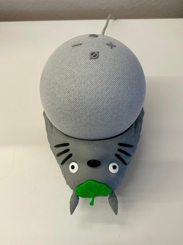 Supporto amazon alexa - amazon, echo