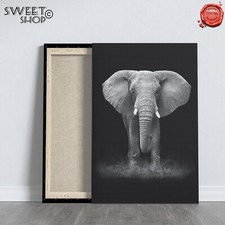 ELEFANTE SAVANA AFRICA Stampa