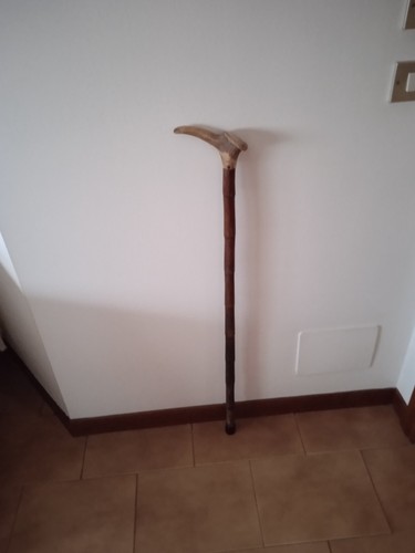 Antico bastone bambu con - in,