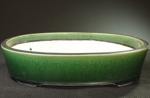 Grande vaso per - , bonsai