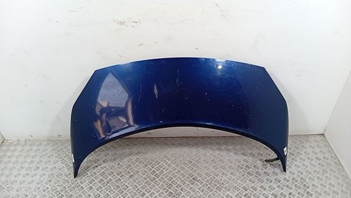 Cappuccio renault scenic - cappuccio, ii