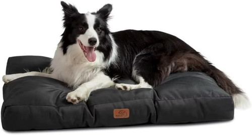 Cuscino per cane taglia - per,