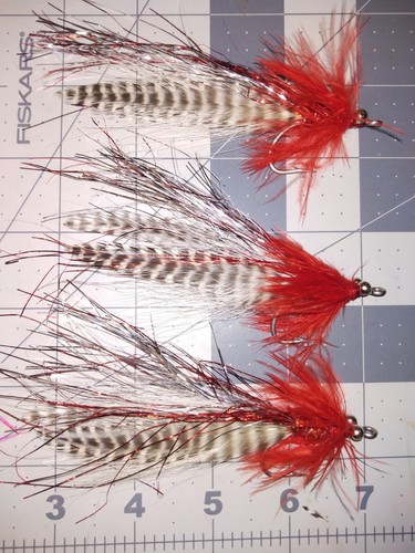 Basso rosso e bianco - basso,