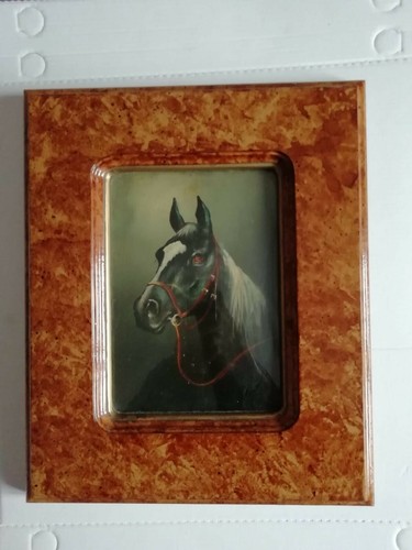 Testa cavallo dipinto ad - testa,