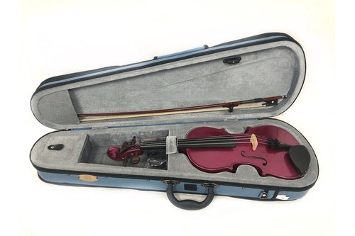 Stentor arlecchino rasberry - stentor,