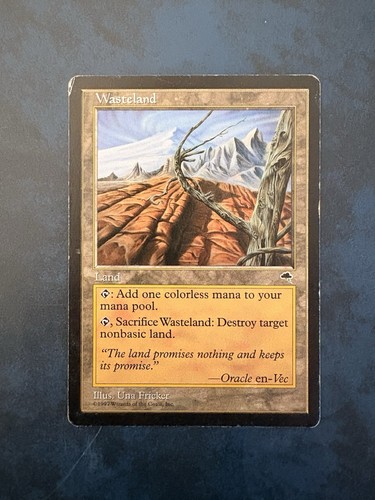Mtg wasteland tempest magic - mtg,