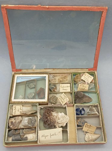 Antica scatola geologo - scatola,
