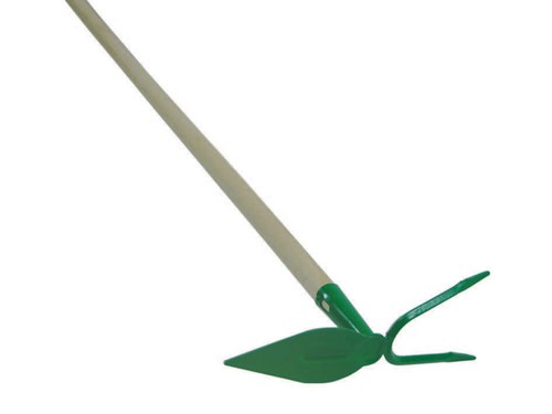 Zappino cuore bidente con