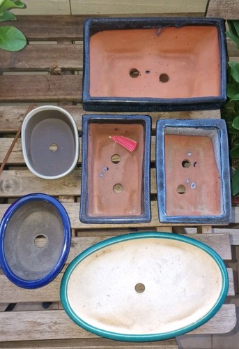 Vasi per bonsai - bonsai, giapponese