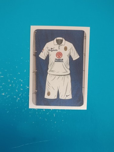 Figurina calciatori panini - figurina,