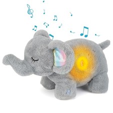 Lontra Che Respira Elefanti