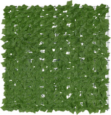 Schermo Privacy Edera