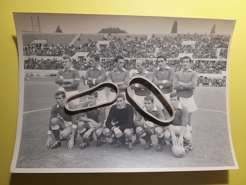 Calcio squadra varese anno - squadra,