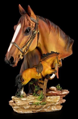 Grande cavalli busto - busto, con