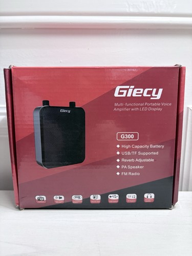 Giecy g300 amplificatore - giecy,