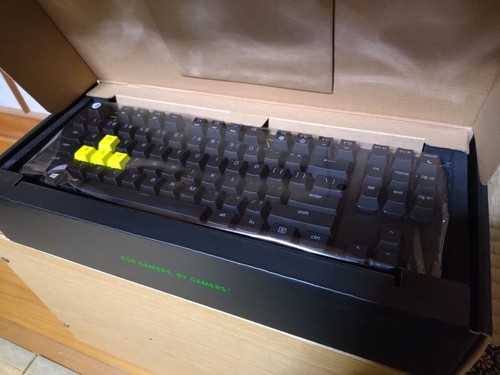 Razer huntsman tenkeyless - huntsman, v2