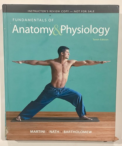 Fundamentals anatomy - anatomy, &