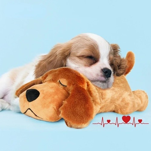 Peluche giocattolo per - peluche,